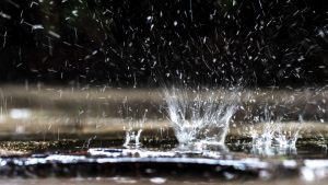 Employing Digital Twin for Rainwater Harvesting Infrastructure