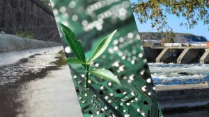 Green Stormwater Infrastructure Management in Australia through Smart Technology