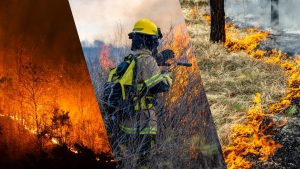 The Role of GIS in Wildfire Risk Assessment and Mitigation