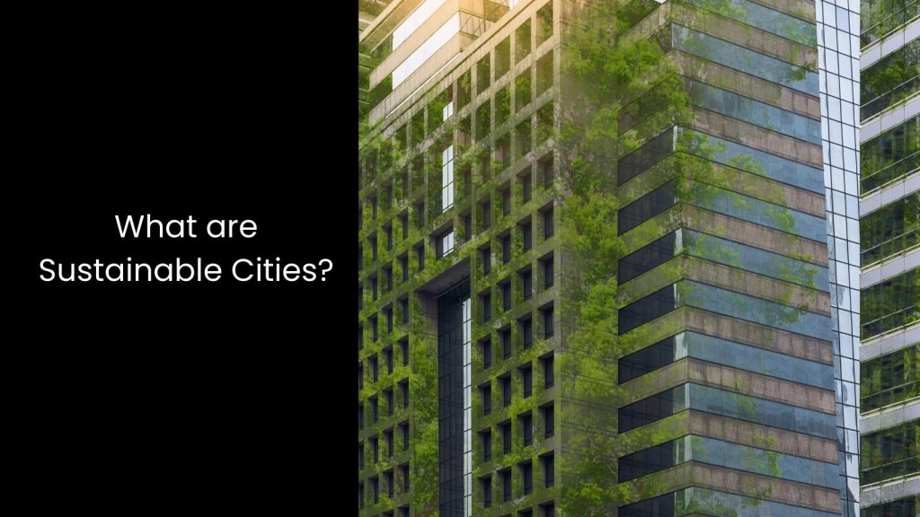 Exploring the Role of Technology in Creating Sustainable Cities