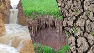 How to Prevent Soil Erosion on a Construction Site