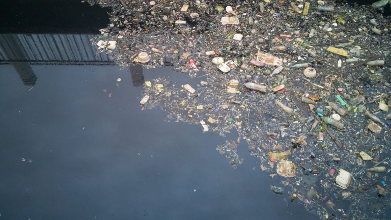 How is Water Pollution Caused?