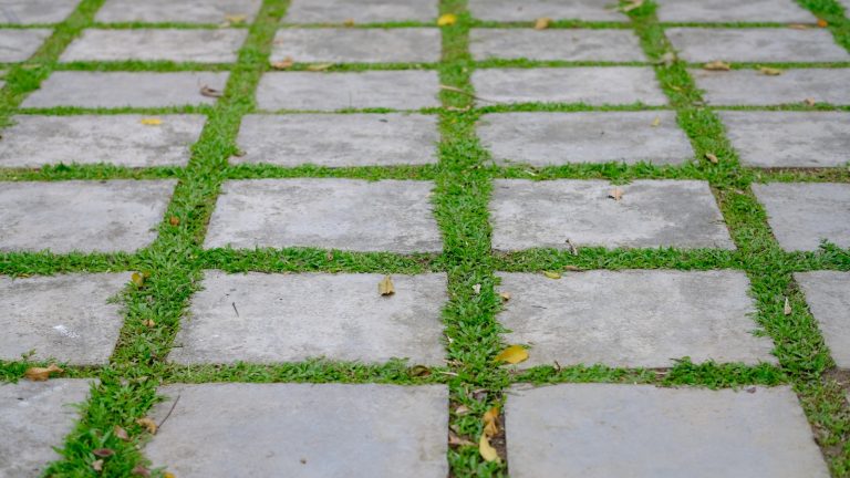 What is Permeable Pavement?