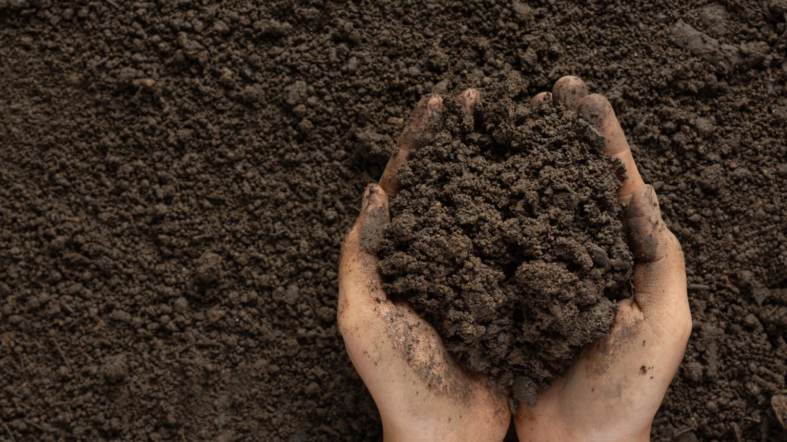 What Is Compaction Test: Soil Testing Methods and Field Procedures ...