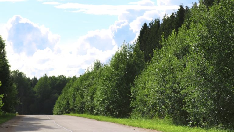 Building Sustainable Transport Infrastructure at Scale