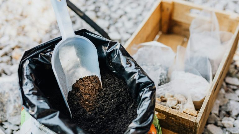 What Is a Compaction Test in Construction