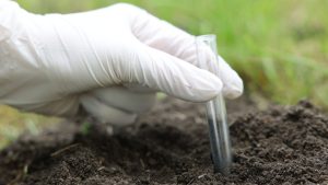 What Is Compaction Test: Soil Testing Methods and Field Procedures