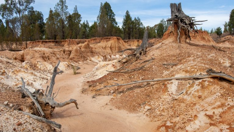 What Is Soil Erosion and Why Does It Matter on Construction Sites