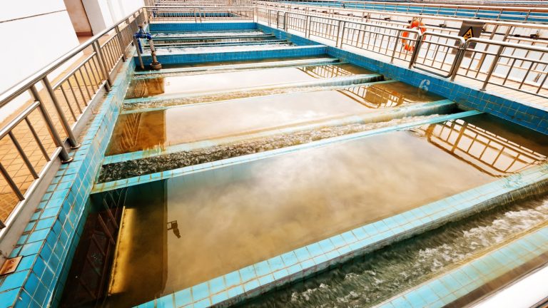 What Are The Two Types Of BOD: Carbonaceous And Nitrogenous?