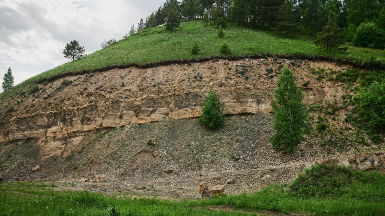 How Does Vegetation Provide Effective Erosion Control?