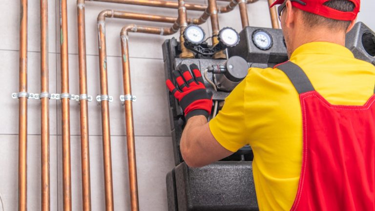 What Renewal Methods Are Available?