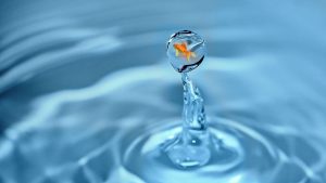Why Commercial Water Purification Is Essential for Safe Water Supply