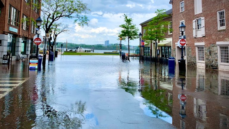 Future Outlook: Will Coastal Cities Be Able to Adapt?
