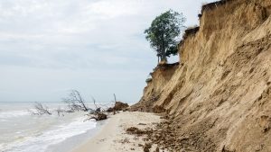 How Will Sea Level Rise Impact Coastal Cities in the Coming Decades?