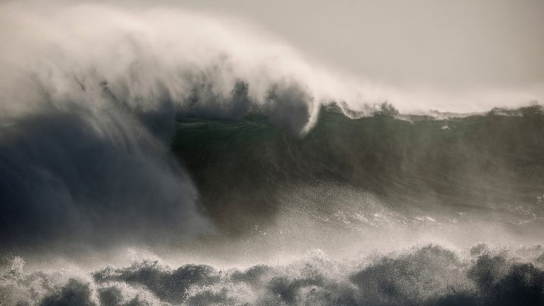 What Environmental Changes Will Coastal Ecosystems Experience?