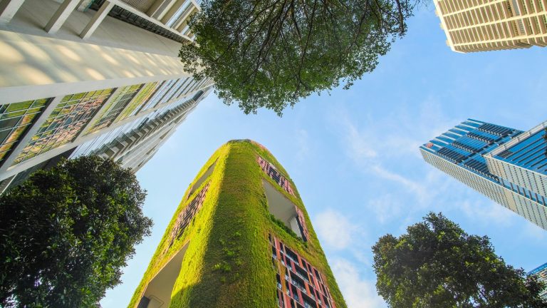 10 Sustainable Green Building Practices in Construction