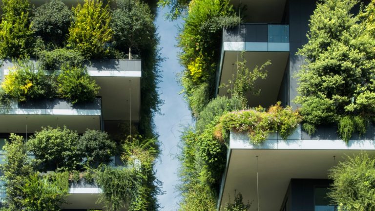 What are Green Building Practices?