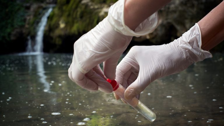 How to Utilise AI for Water Quality Management