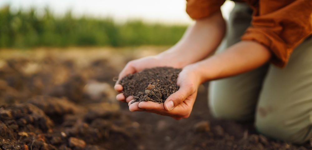 Why Perform a Soil Compaction Test? Why Perform a Soil Compaction Test?